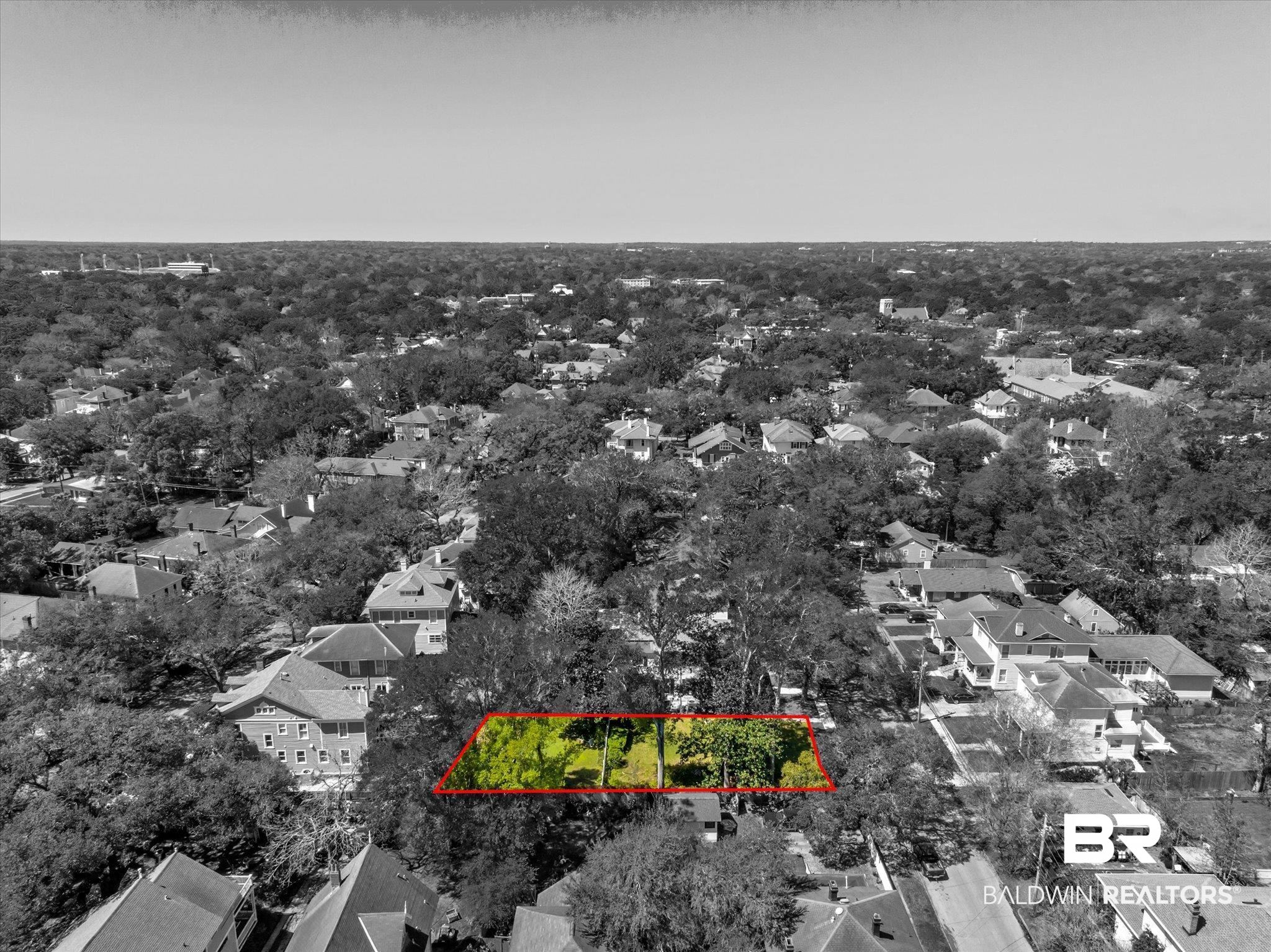 0 Palmetto Street Mobile, AL 36604 - Photo 7 of 18