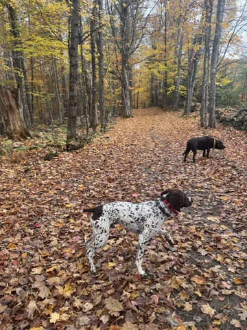 $625,000 | 214 Desert Pond Road, Mount Vernon, ME 04352