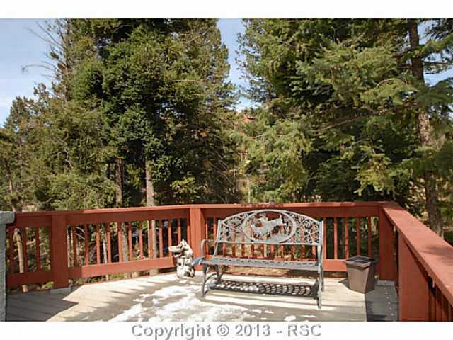 9010 Mountain Road Cascade, CO 80809 - Photo 24 of 25 Gallery Image 24