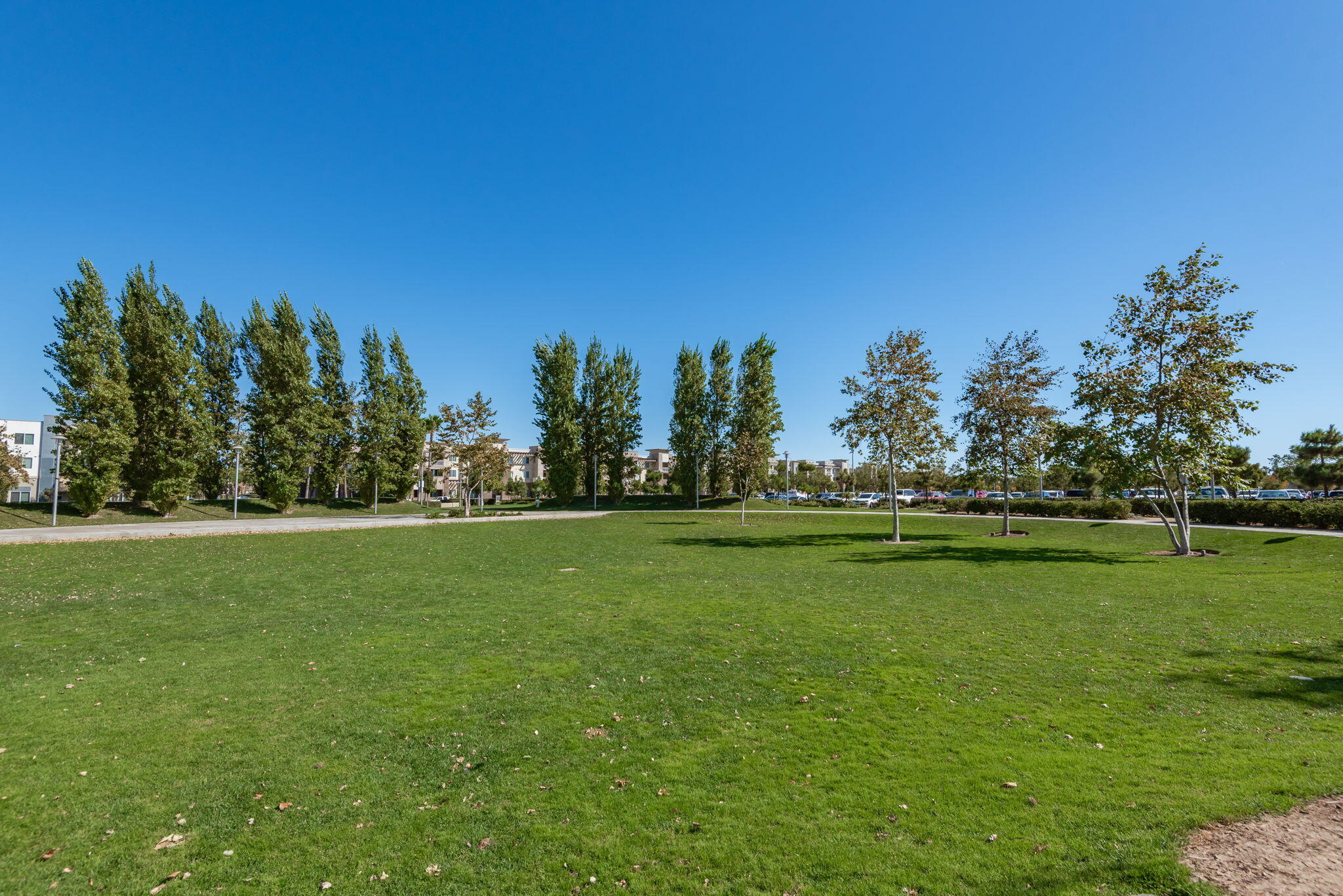 630 Whalen Way Oxnard, CA 93036 - Photo 32 of 36 The Park at the Collection
