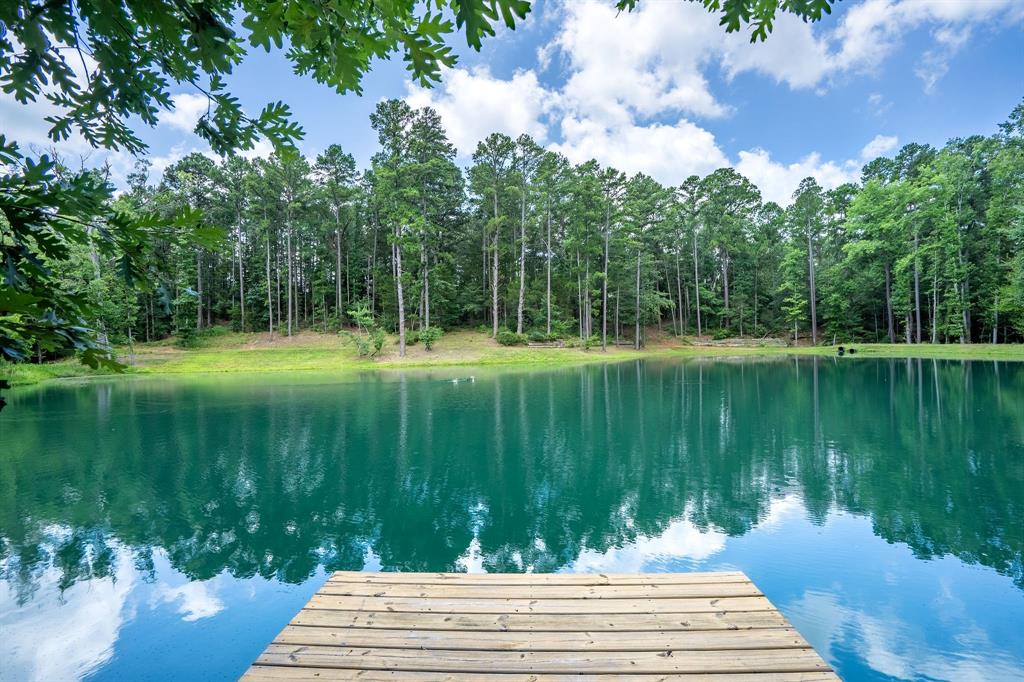 165 Whistler Lane Hallsville, TX 75650 - Photo 34 of 40 a lake view with a outdoor space