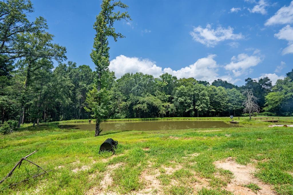165 Whistler Lane Hallsville, TX 75650 - Photo 40 of 40 a view of a big yard