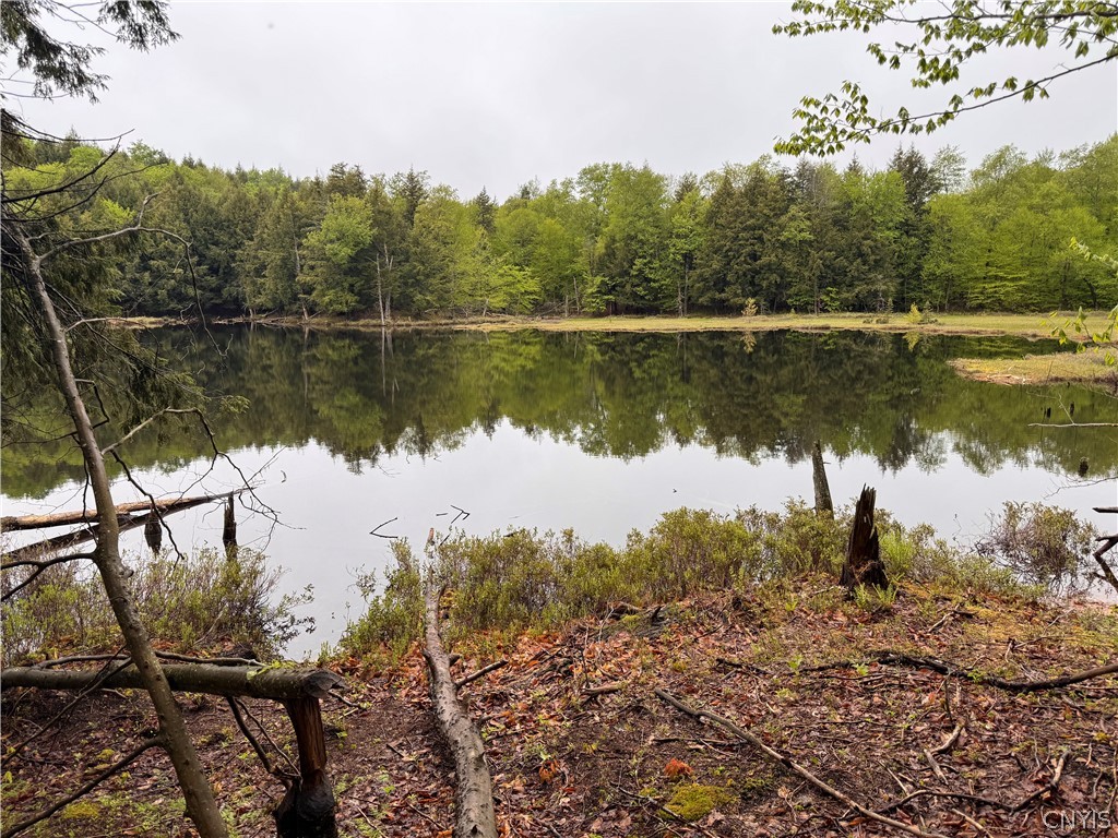 0 Hawkinsville Road Woodgate, NY 13494 - Photo 14 of 27