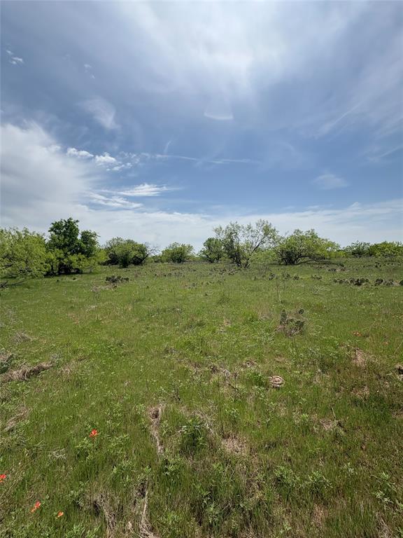 Tbd Causeway Road Jacksboro, TX 76458 - Photo 12 of 14
