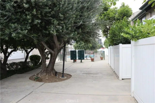 a view of a yard with a tree