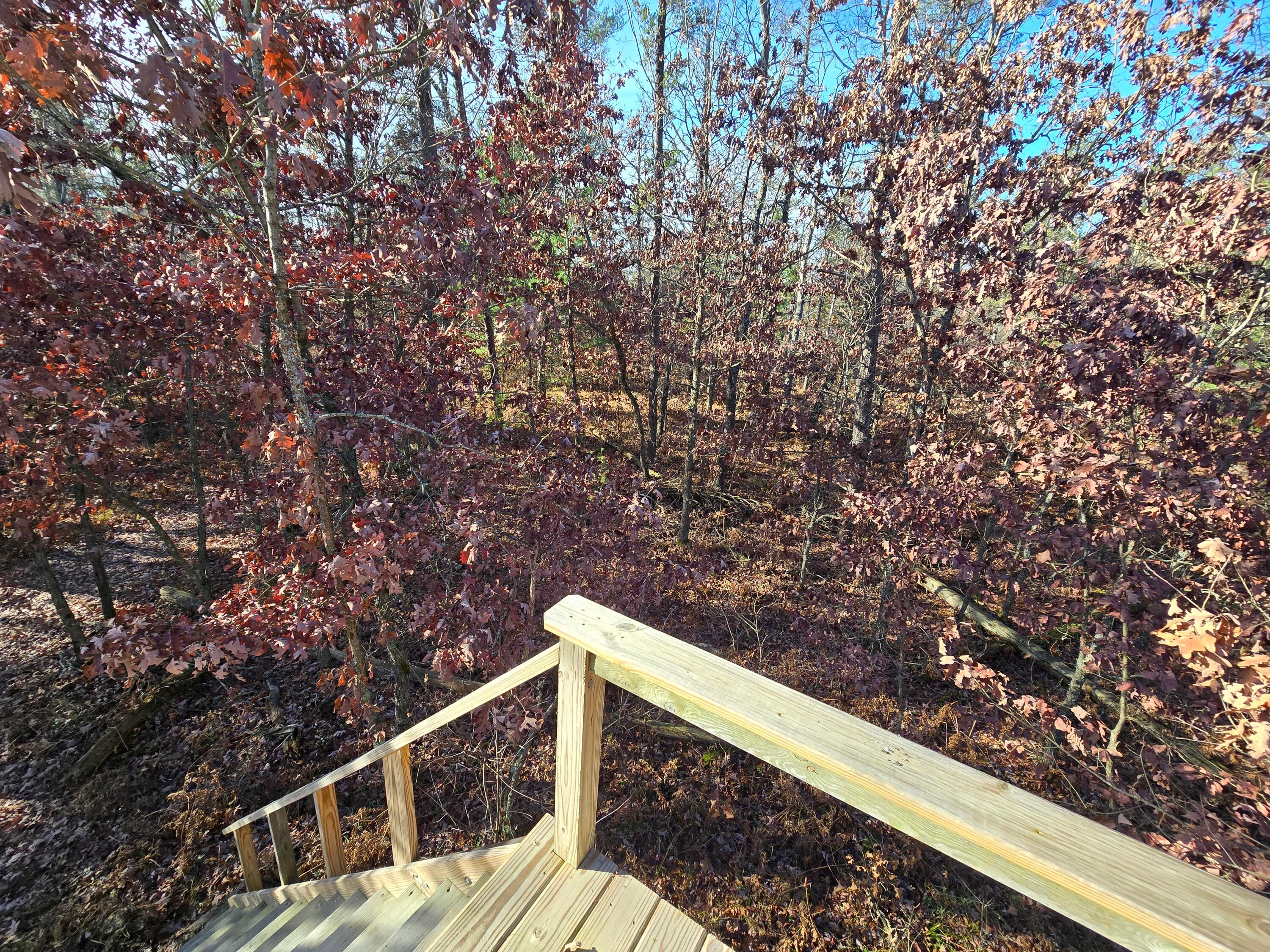 1500 Hardy Grade Road Curran, MI 48728 - Photo 62 of 81 Gallery Image 62