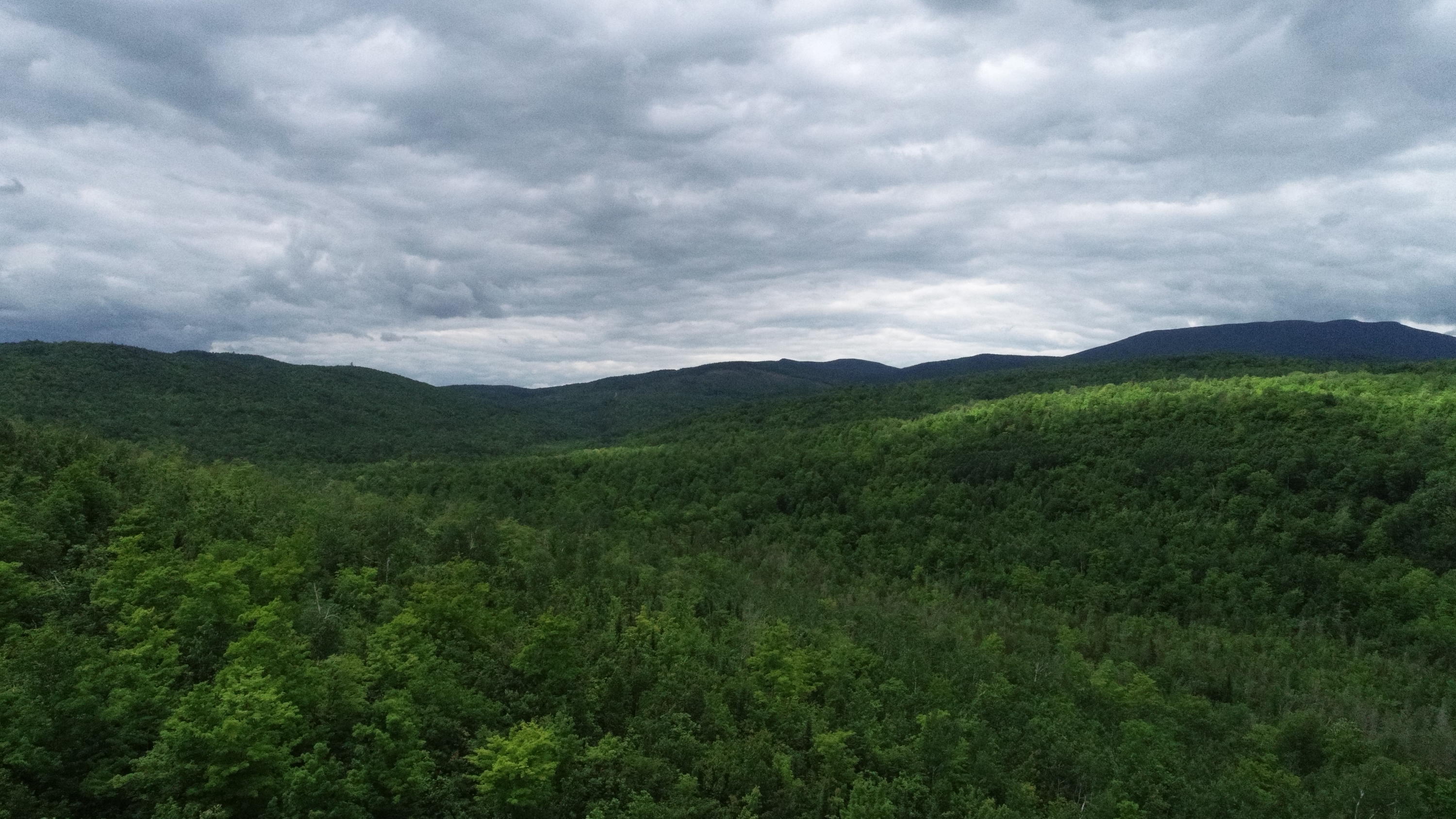 160 Reed's Mill Road Madrid Township, ME 04966 - Photo 1 of 20 DJI_0079