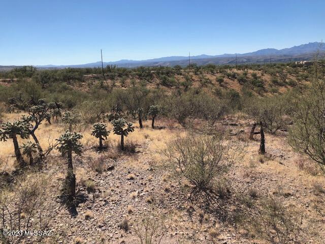 121 Camino Olympia, Unit 46 Rio Rico, AZ 85648 - Photo 3 of 6