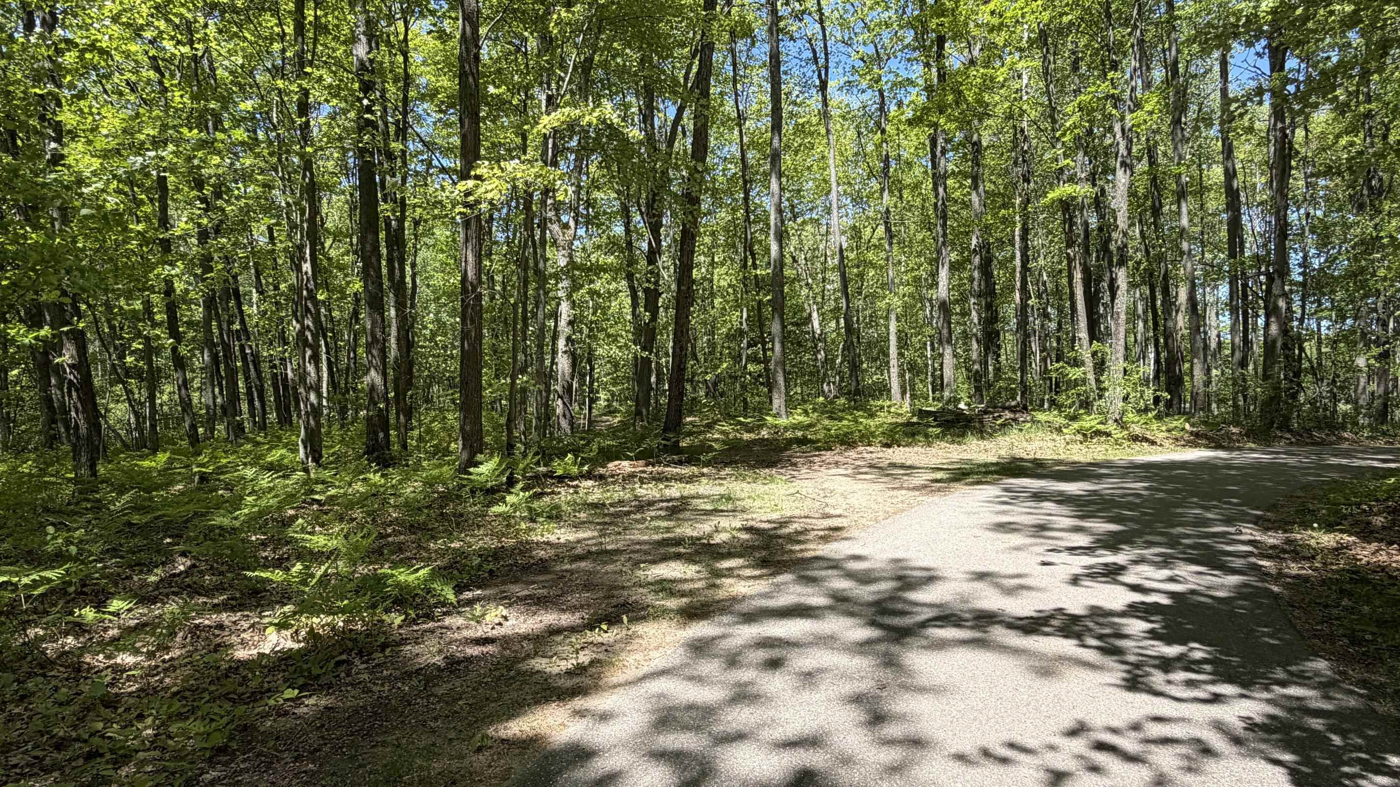 Tbd West Lk George Drive Harrison, MI 48625 - Photo 6 of 13
