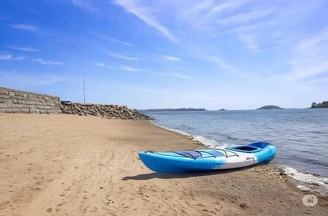 a view of a backyard with plants and a garden