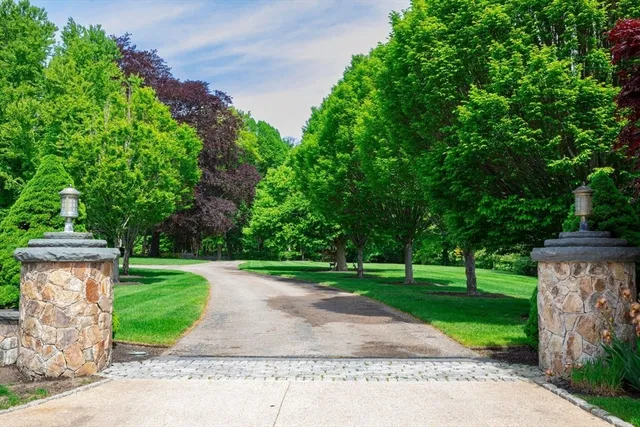 a view of a park with plants and large trees