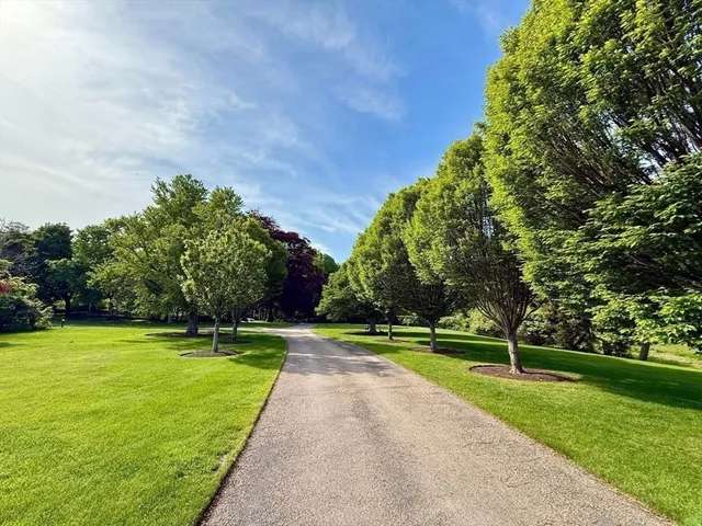 a view of outdoor space with trees all around