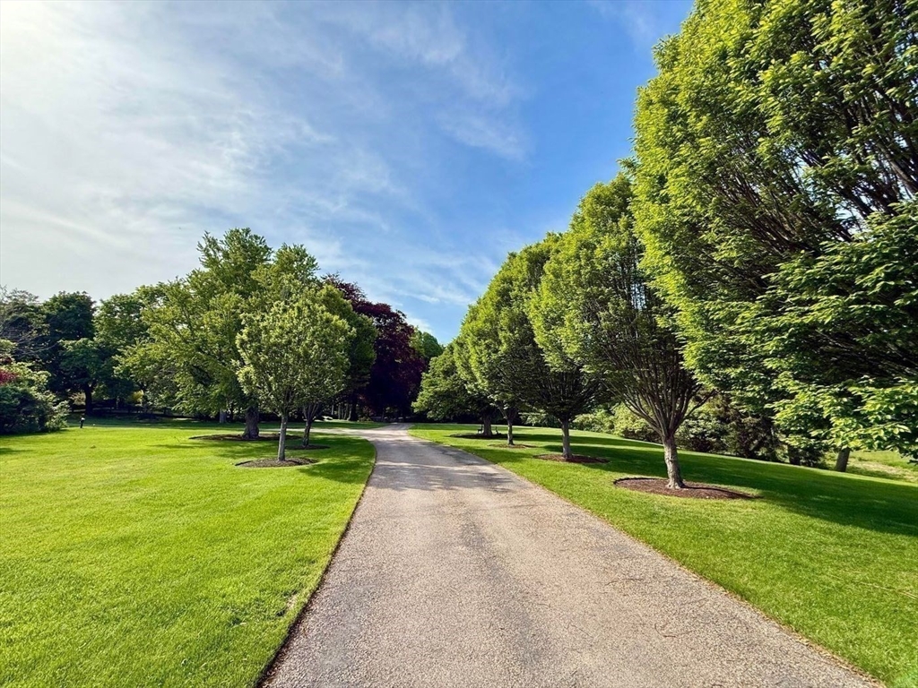 76 Paine Avenue Beverly, MA 01965 - Photo 8 of 41 a view of a park with large trees