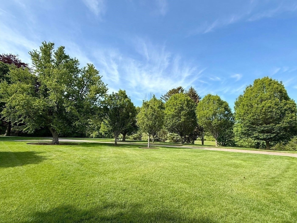 76 Paine Avenue Beverly, MA 01965 - Photo 9 of 41 a view of outdoor space with trees all around