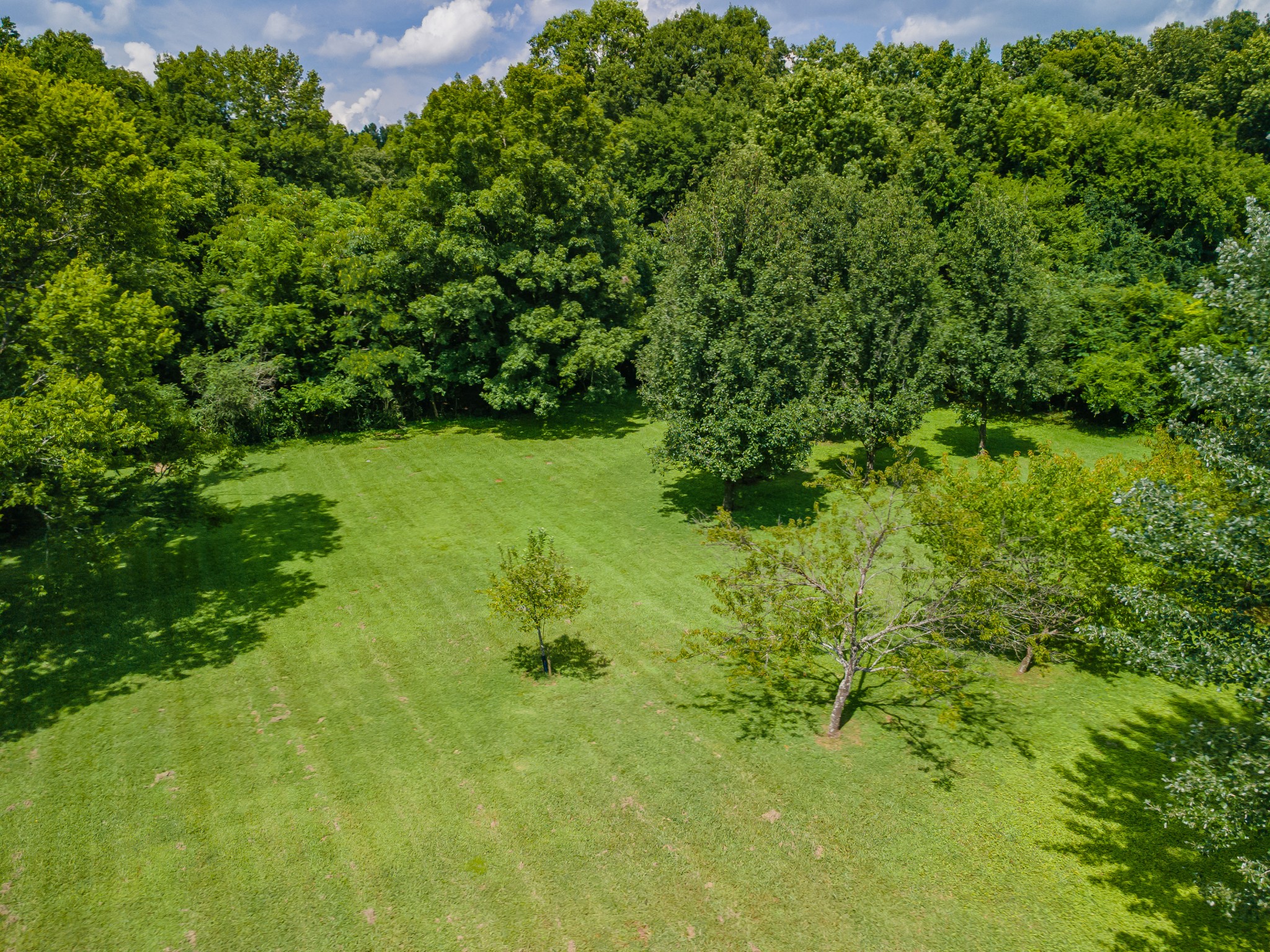 330 Holly Grove Road Lewisburg, TN 37091 - Photo 59 of 84