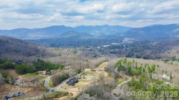 an aerial view of houses covered in trees