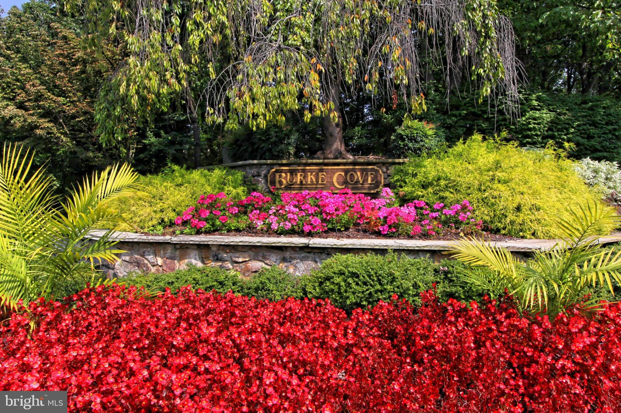 5833 Cove Landing Road, Unit 304 Burke, VA 22015 - Photo 13 of 34 a view of a flower in a garden