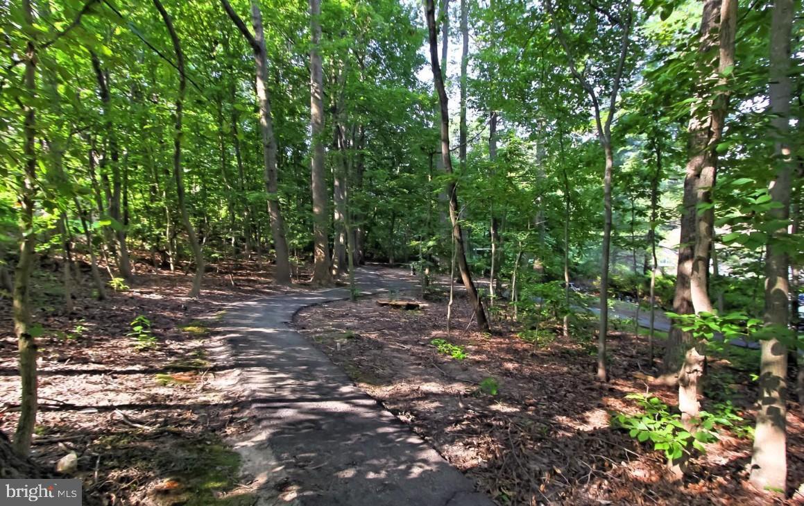 5833 Cove Landing Road, Unit 304 Burke, VA 22015 - Photo 17 of 34 Easy paths on which to walk or bike