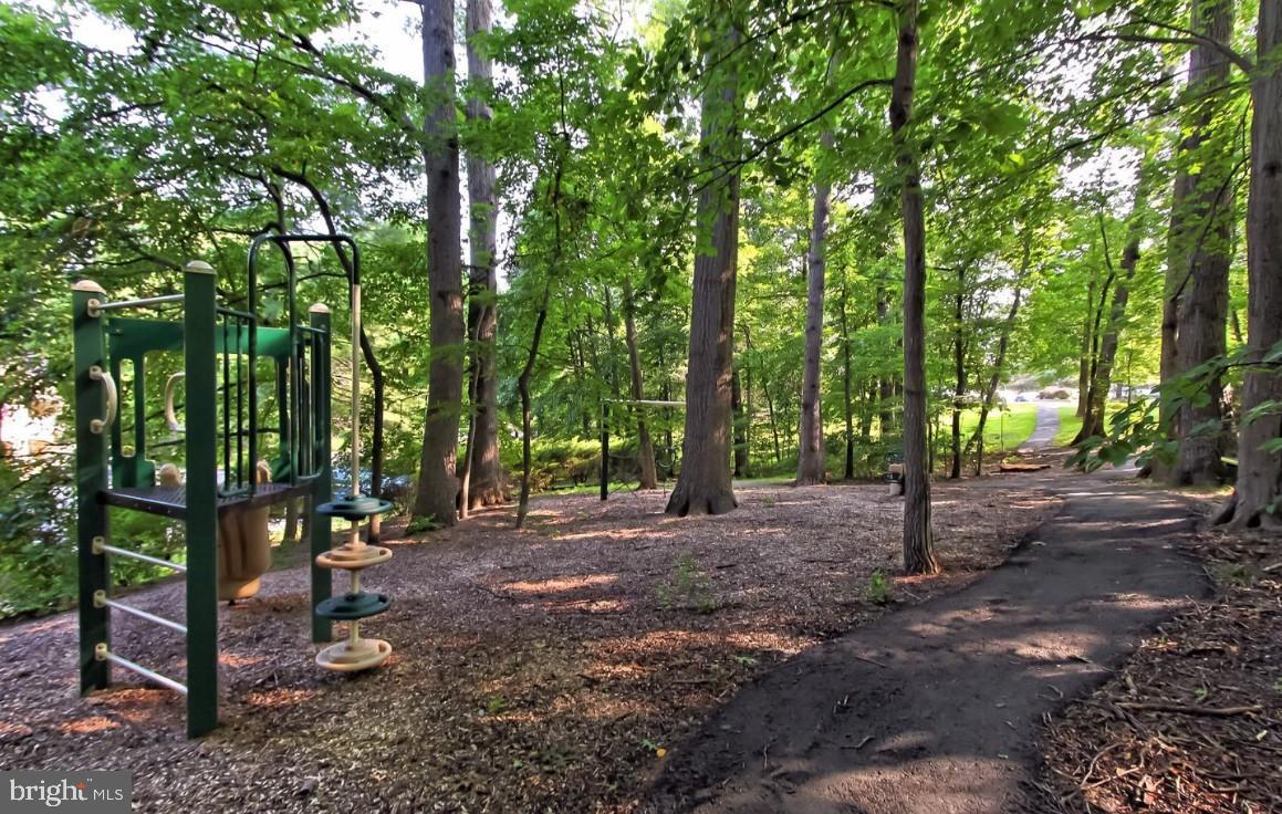 5833 Cove Landing Road, Unit 304 Burke, VA 22015 - Photo 20 of 34 a view of a forest with trees in the background