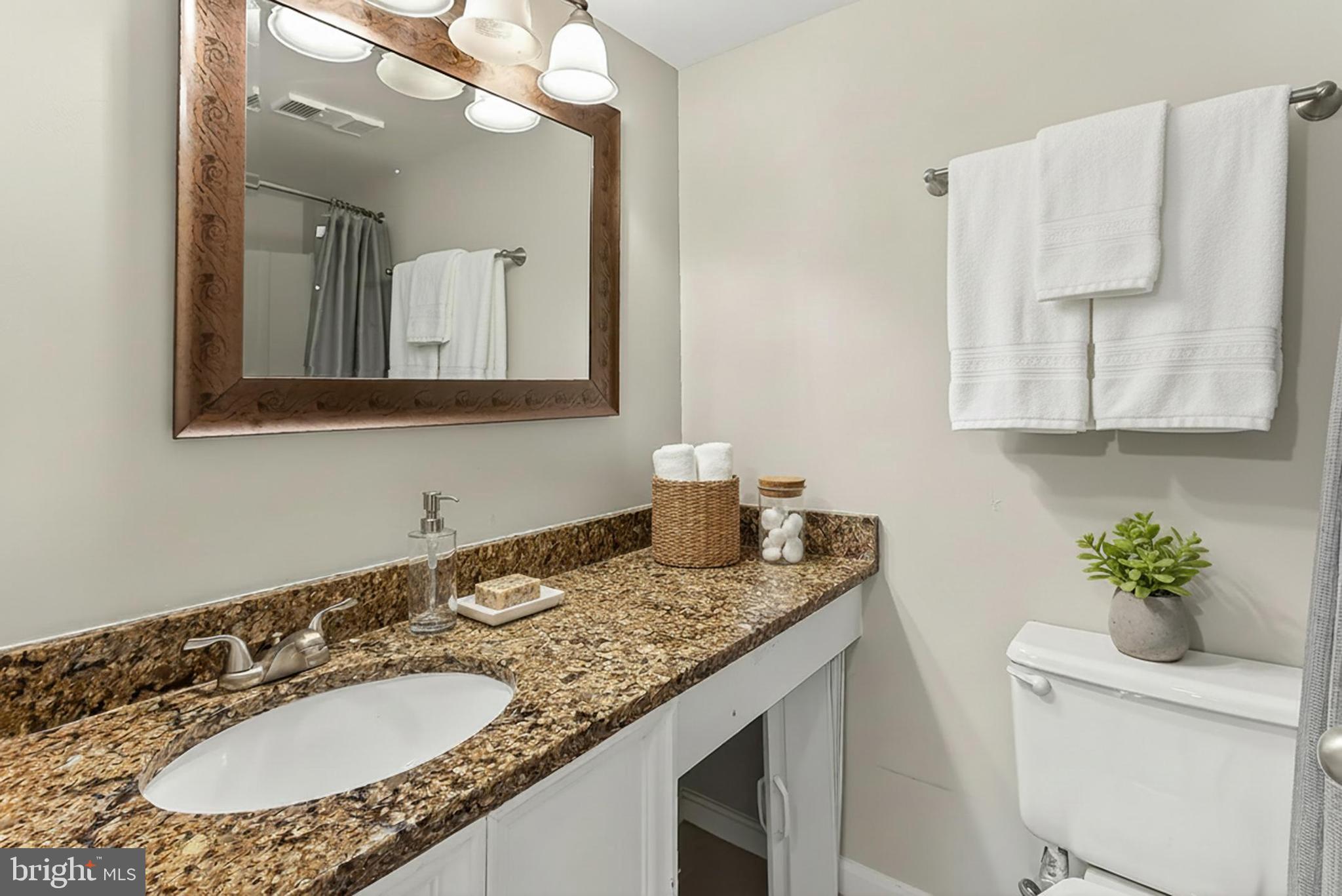 5833 Cove Landing Road, Unit 304 Burke, VA 22015 - Photo 6 of 34 a bathroom with a granite countertop sink a mirror and vanity