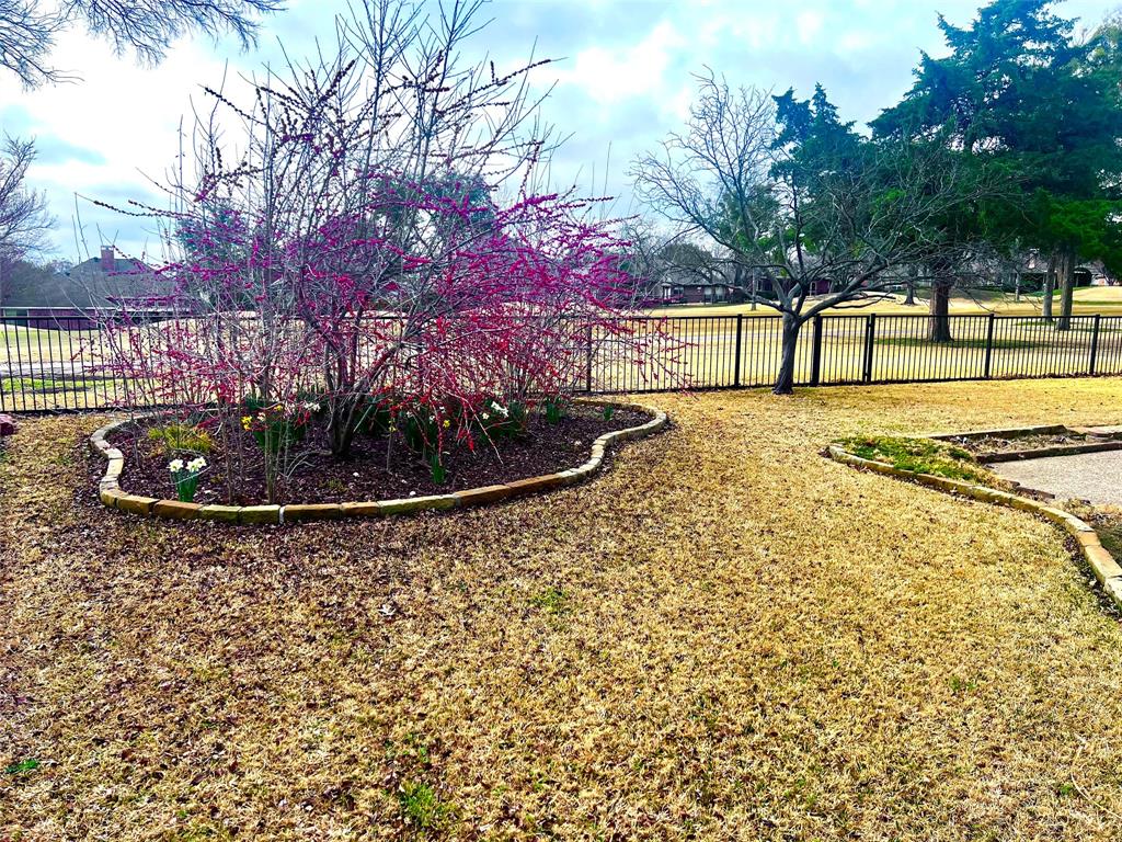 2705 Wind Ridge McKinney, TX 75072 - Photo 40 of 40 a view of outdoor space and yard