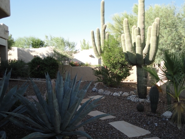 18416 East Poco Rio Drive Rio Verde, AZ 85263 - Photo 19 of 21 Desert Landscaping