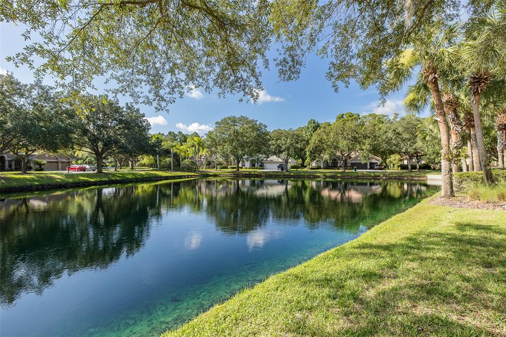 2880 Waters Edge Road Palm Harbor, FL 34685 - Photo 2 of 52