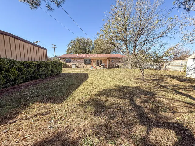 a view of a yard with plants and large trees