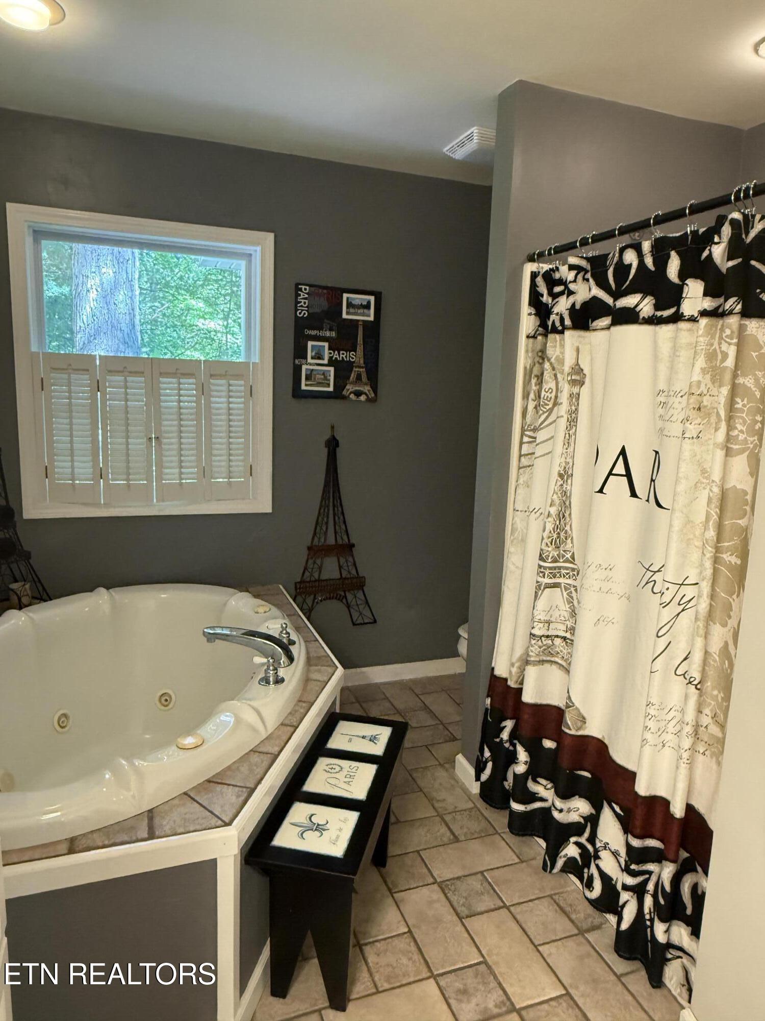 4039 Barb Hollow Road Walland, TN 37886 - Photo 21 of 46 Primary bath2