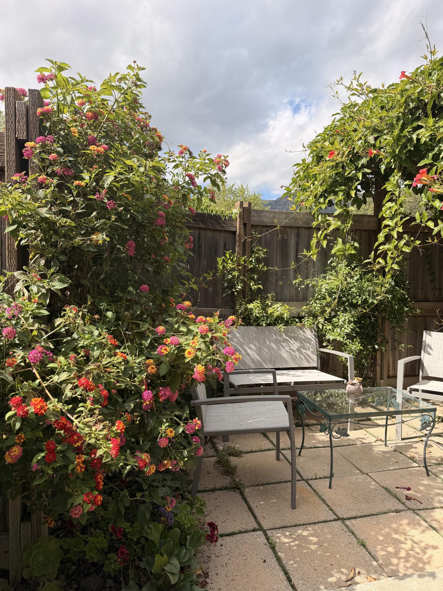 460 San Ysidro Road, Unit F Santa Barbara, CA 93108 - Photo 6 of 6 Patio