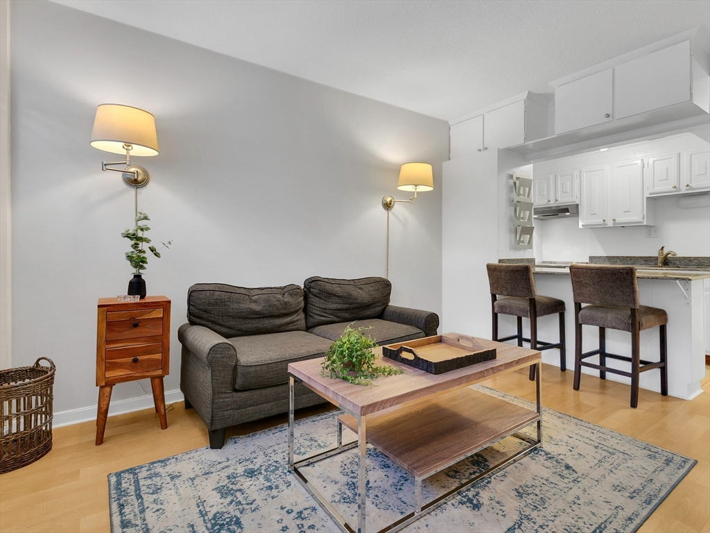 70-80 Park Street, Unit 7012 Brookline, MA 02446 - Photo 3 of 12 Gallery Image 3