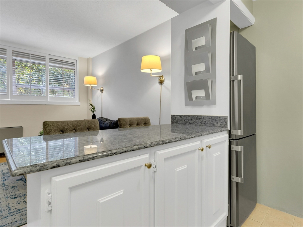 70-80 Park Street, Unit 7012 Brookline, MA 02446 - Photo 7 of 12 Gallery Image 7