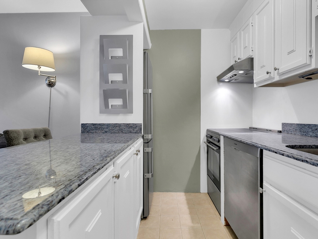 70-80 Park Street, Unit 7012 Brookline, MA 02446 - Photo 8 of 12 Gallery Image 8