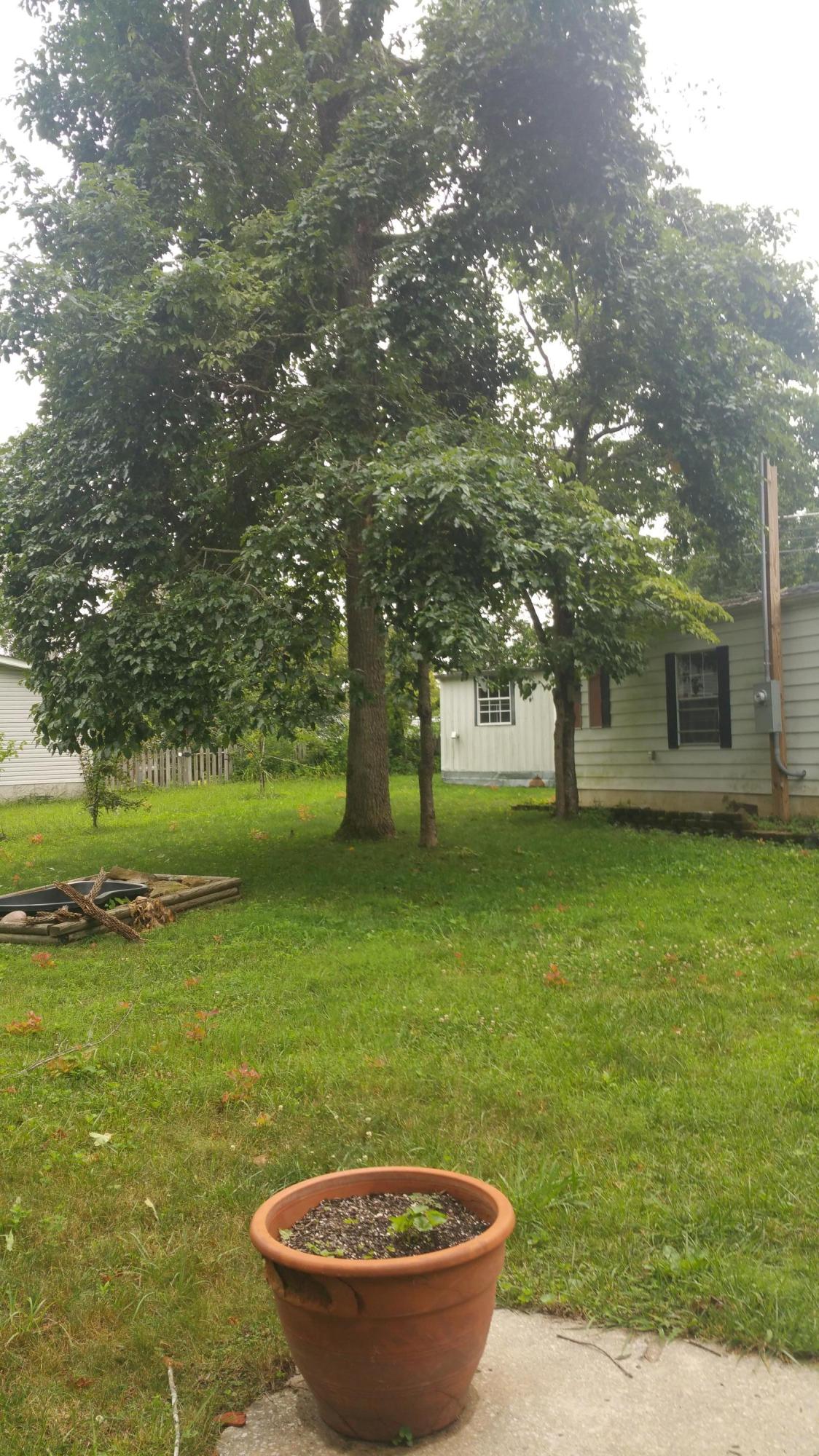 250 Rugby Road Fairfield Glade, TN 38558 - Photo 6 of 13 20150701_101832