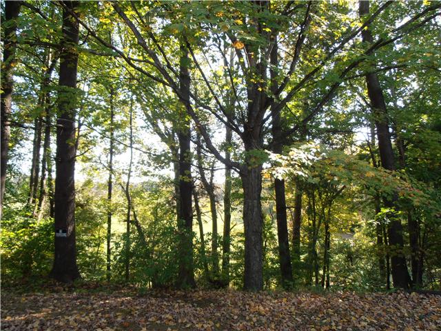 214 Hillcrest Road Manchester, TN 37355 - Photo 3 of 20 View From Deck