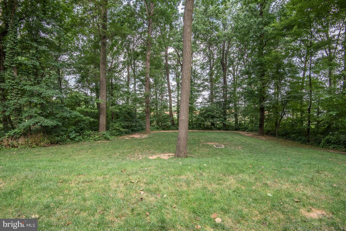175 Little Britain Road Nottingham, PA 19362 - Photo 3 of 48 Front Yard