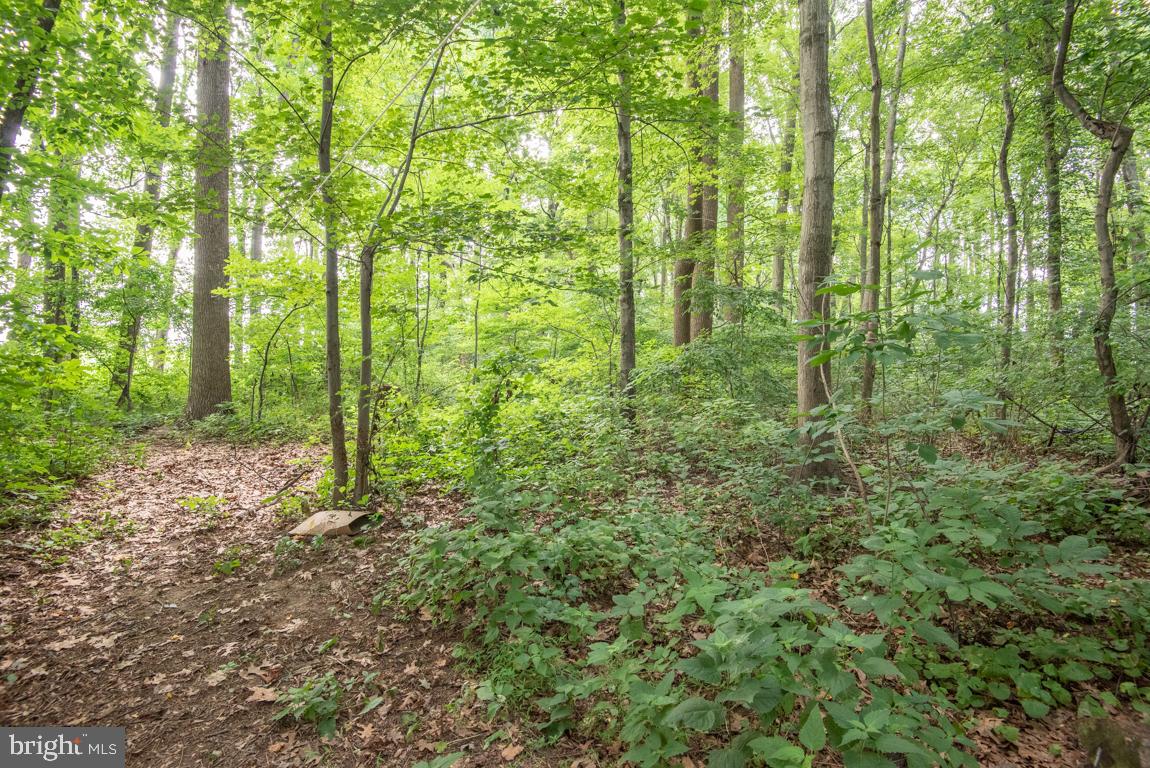 175 Little Britain Road Nottingham, PA 19362 - Photo 46 of 48 Wooded Lot