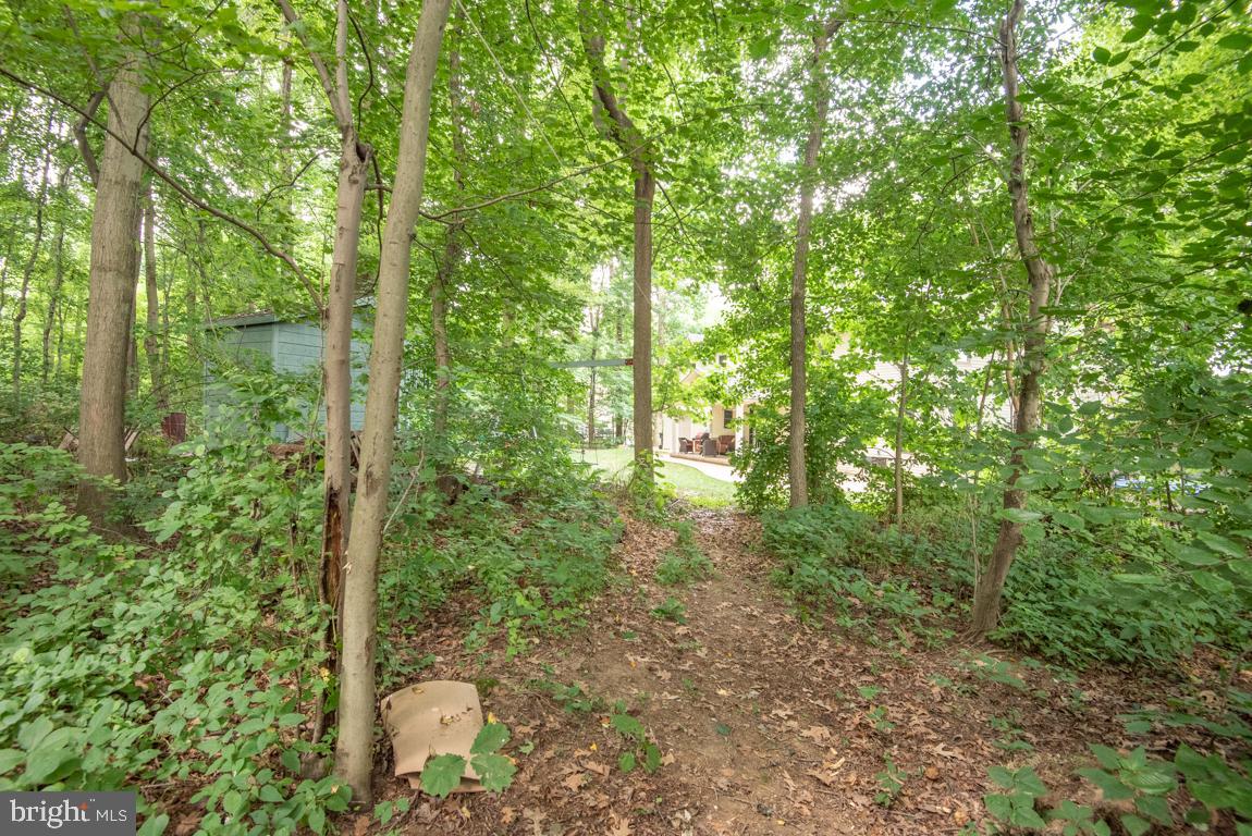 175 Little Britain Road Nottingham, PA 19362 - Photo 47 of 48 Wooded Lot