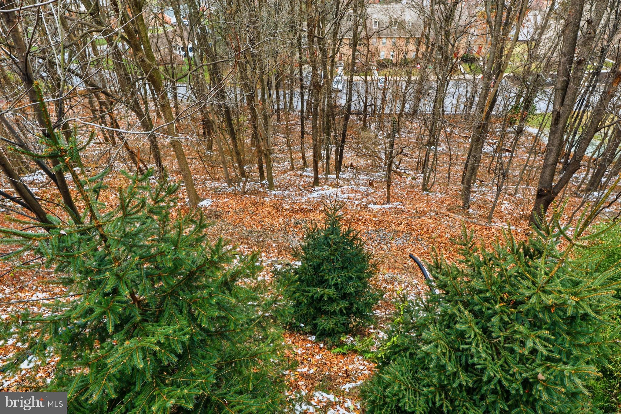 160 Greenleaf Road York, PA 17406 - Photo 38 of 46 Serene woodland retreat with autumn hues.