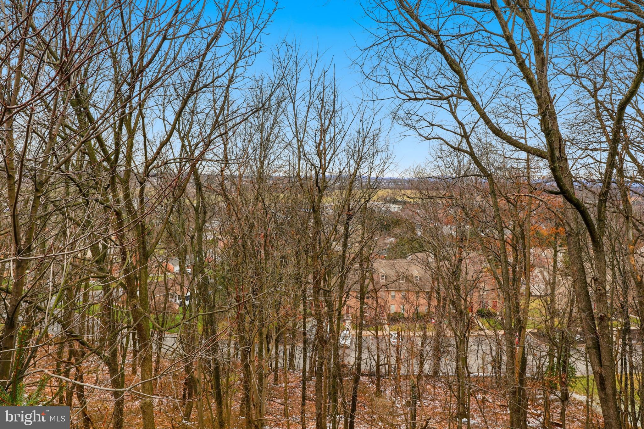 160 Greenleaf Road York, PA 17406 - Photo 39 of 46 Serene woodland view over suburban homes.