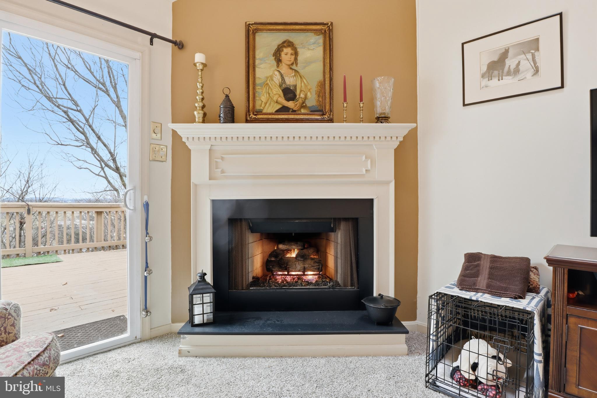 160 Greenleaf Road York, PA 17406 - Photo 6 of 46 Cozy fireplace with elegant artwork above.