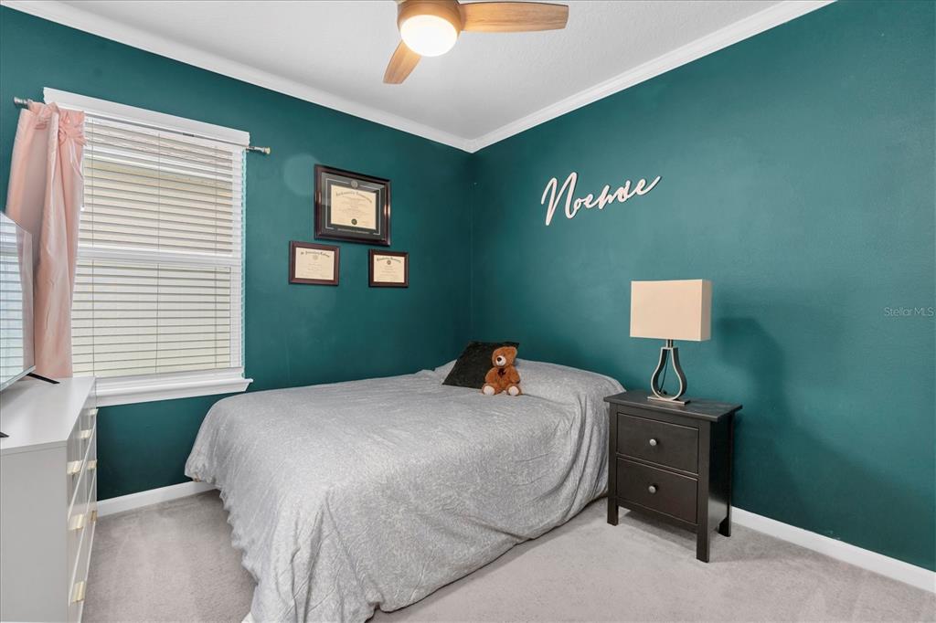 8867 Prairie Creek Drive Trinity, FL 34655 - Photo 20 of 38