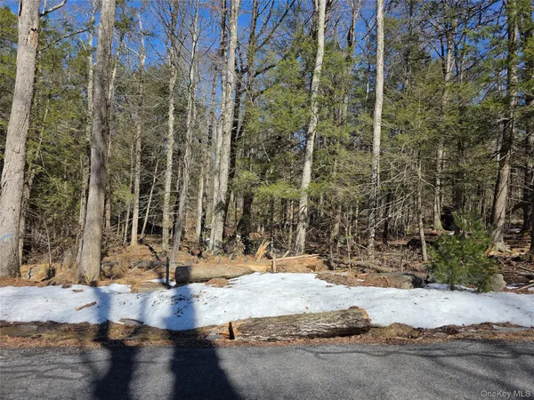 a view of a backyard with large trees