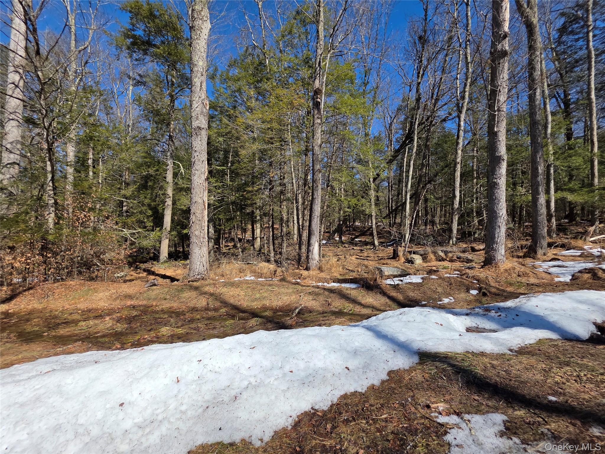 Gregory Road Monticello, NY 12701 - Photo 5 of 8