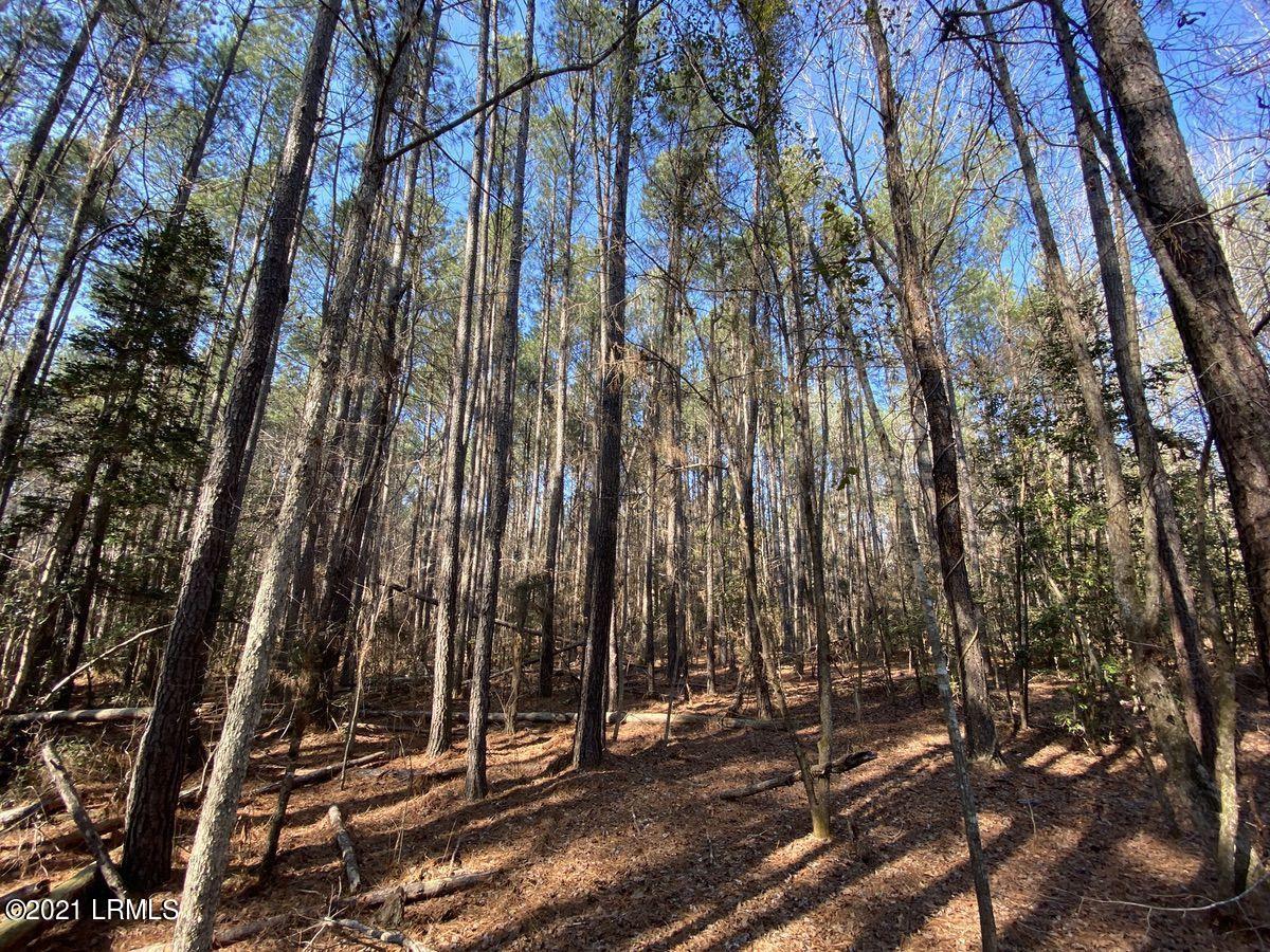 500 Fellowship Road Williston, SC 29853 - Photo 25 of 50 IMG_2587