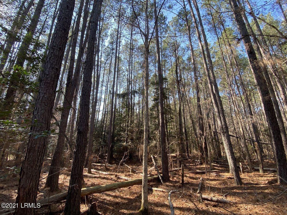 500 Fellowship Road Williston, SC 29853 - Photo 7 of 50 07