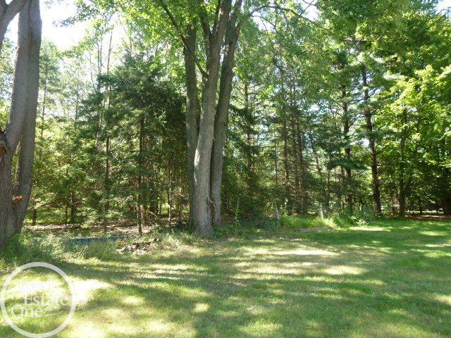 1301 North Livernois Road Rochester Hills, MI 48306 - Photo 6 of 42