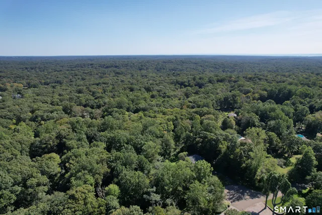 a view of a forest with a houses