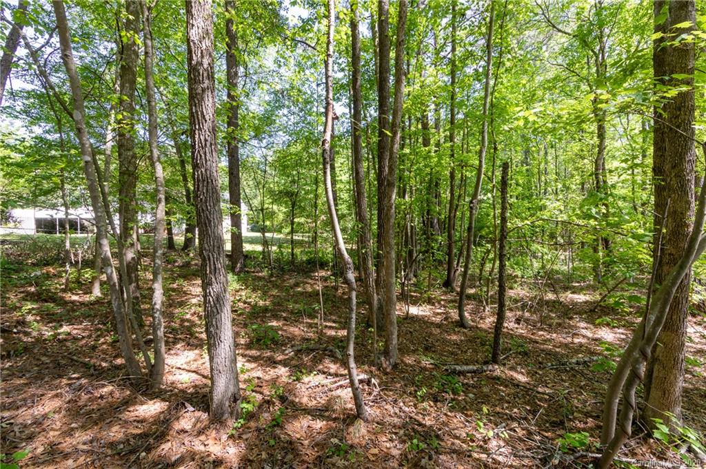 860 Reese Road Rock Hill, SC 29730 - Photo 42 of 47 Gallery Image 42