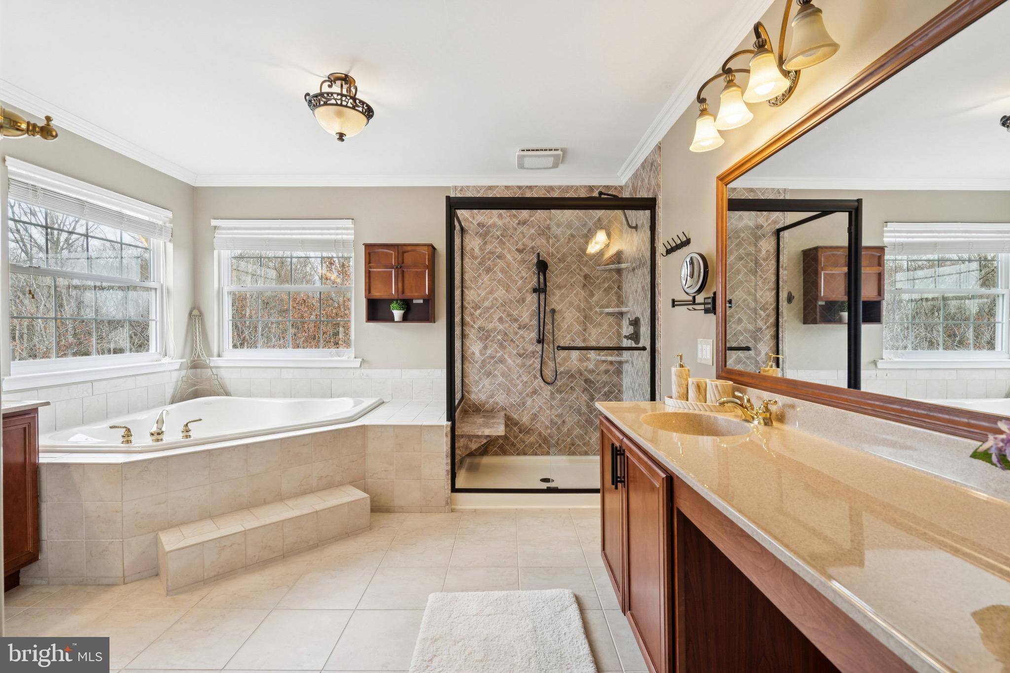 253 Jennings Way Mickleton, NJ 08056 - Photo 24 of 62 a spacious bathroom with sink shower bathtub and next to a window